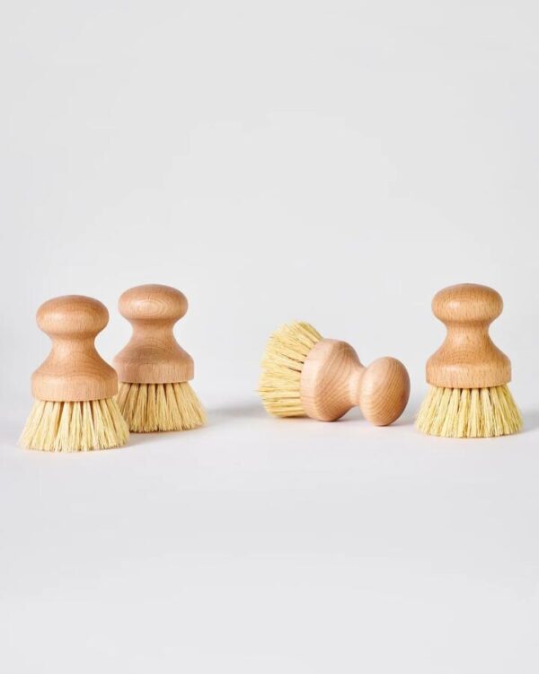 Brush Set of 4